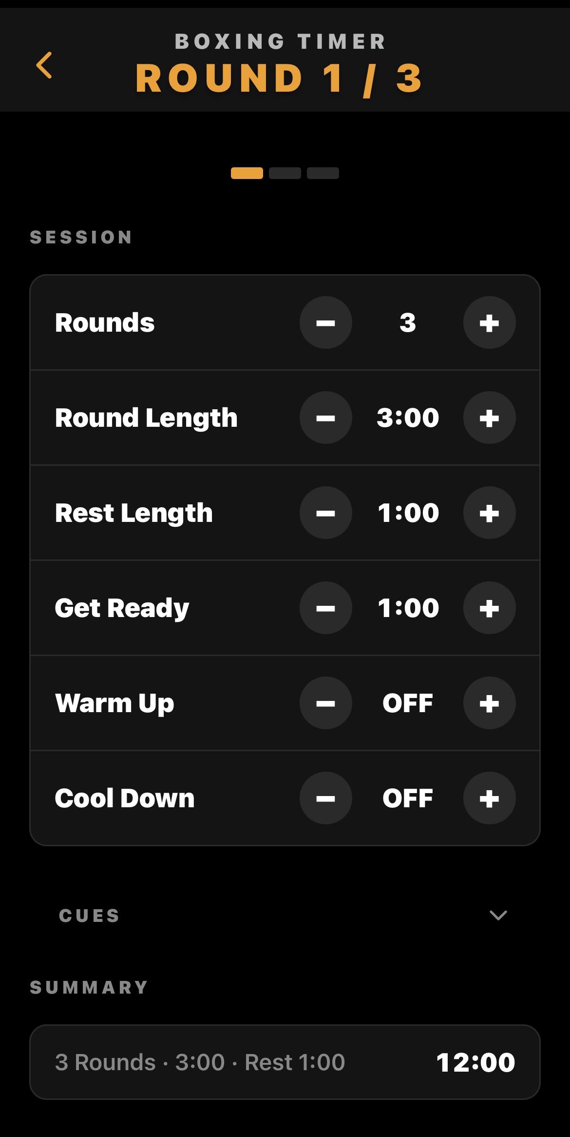 Boxing timer setup screen with round controls and training options